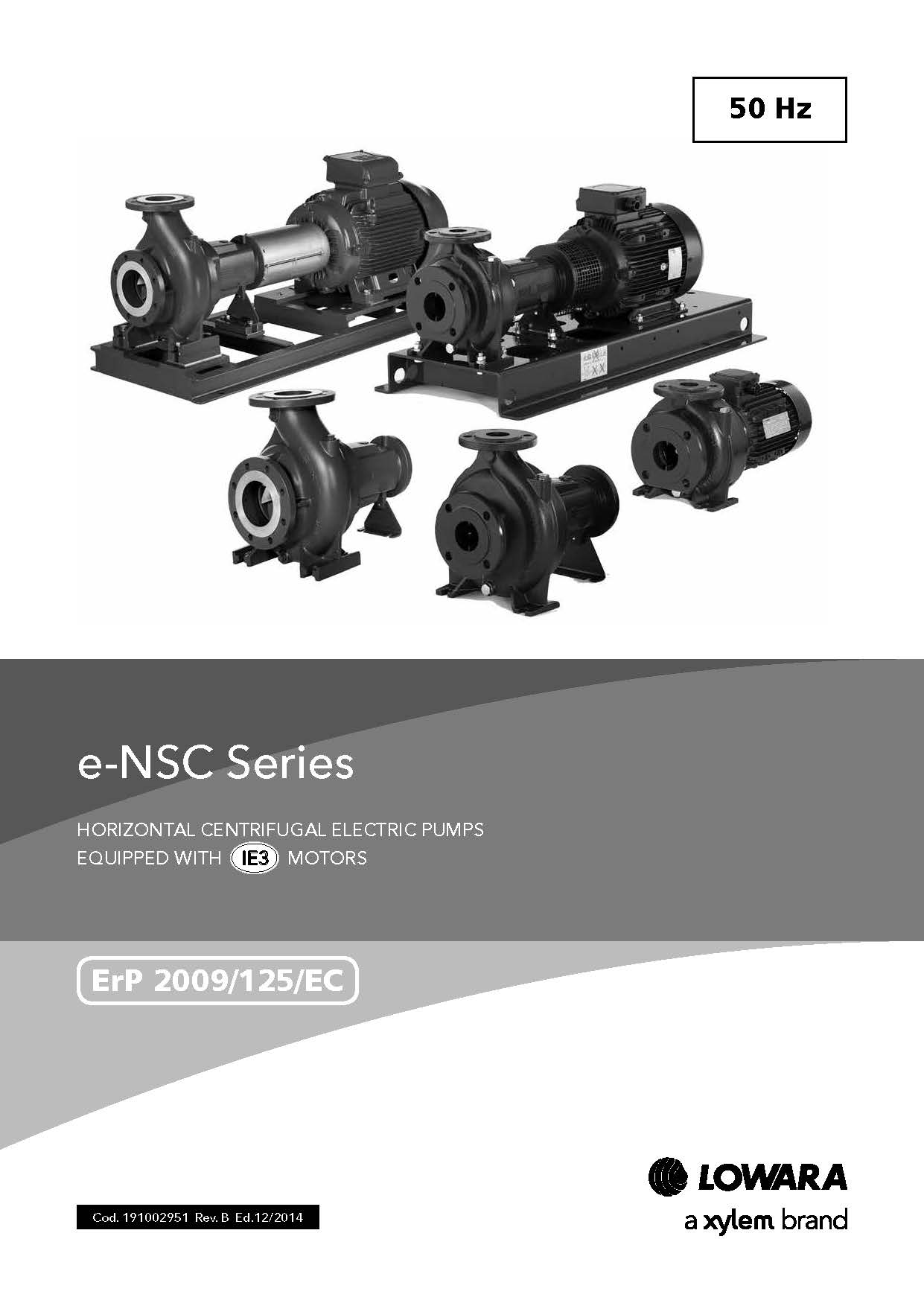 e-NSC系列卧式铸铁端吸泵